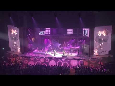 20240831 잔나비 단독 콘서트 #FantasticOldFashioned She #잔나비콘서트 #잔나비 #She She (Hidden Track No.V 1월 선정곡)