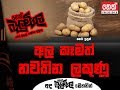 balumgala-22-02-2018