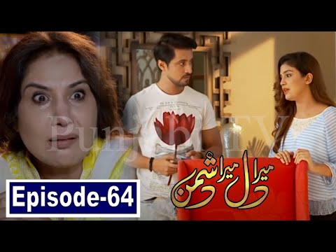 Mera Dil Mera Dushman Episode 64 Promo - Mera Dil Mera Dushman Episode Last Teasear - Punjabi TV