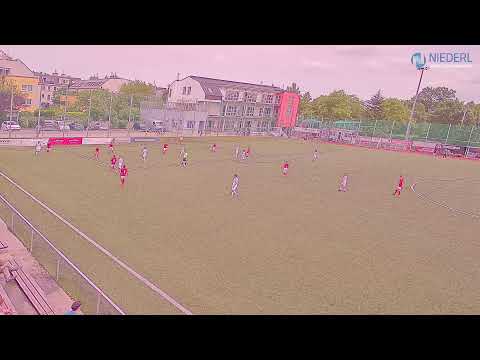 SU Schönbrunn U14 - Essling U14