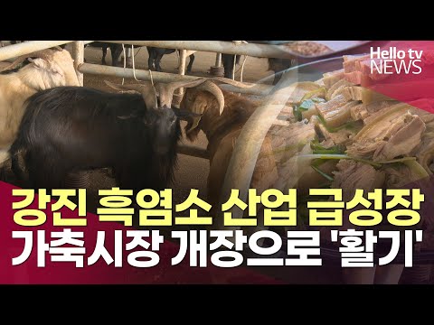 흑염소 산업 '활기'…수요 증가에 강진군 지원 확대ㅣ#헬로tv뉴스