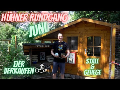 Hühner Rundgang Juni - Eier verkaufen, Infos zu Stall und Gehege - Anfänger-Tipps