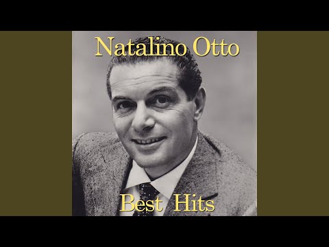 Op op trotta cavallino