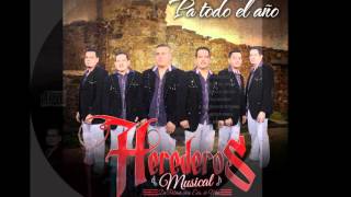 HEREDEROS MUSICAL BESOS DE CENIZA