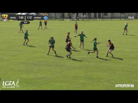 Wexford v Westmeath - TG4 All-Ireland Intermediate Championship - Group 1 Round 3