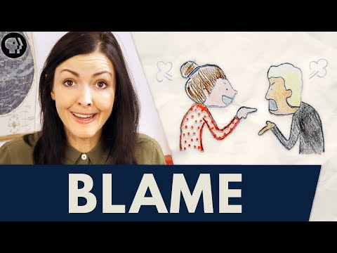 Funny stupid videos - Blaming the others