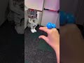 WHAT HAPPENED AT CHUCK E CHEESE Shorts