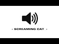 Screaming Cat Sound Effect