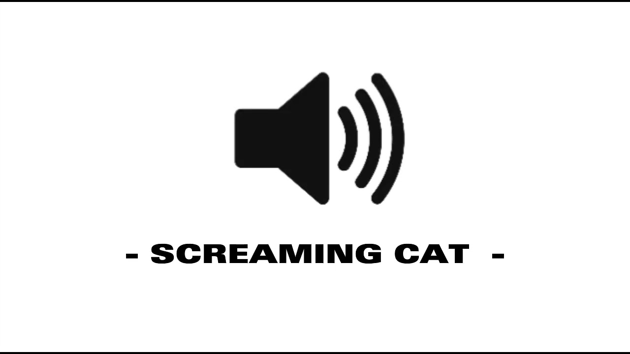 Screaming Cat - Sound Effect