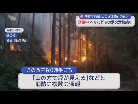 YouTube Video およそ３・５ヘクタールが焼失　１７日に静岡県藤枝市で発生した山林火災は現在も延焼中