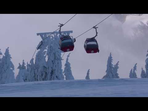 Winterlandschaft SkiWelt Söll - Urlaub in der SkiWelt