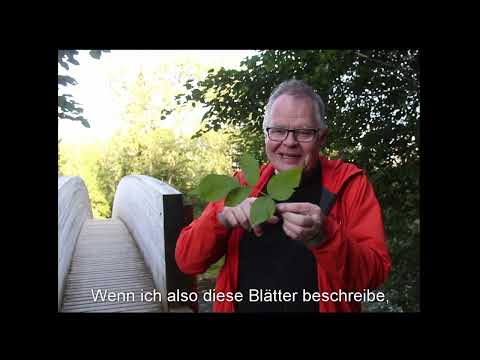 Frode Fjellheim - Joik