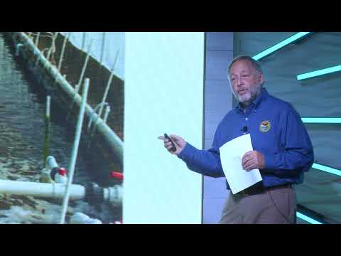 Disappearing Fisheries: Mariculture to the Rescue | Al Stokes | TEDxHiltonHead