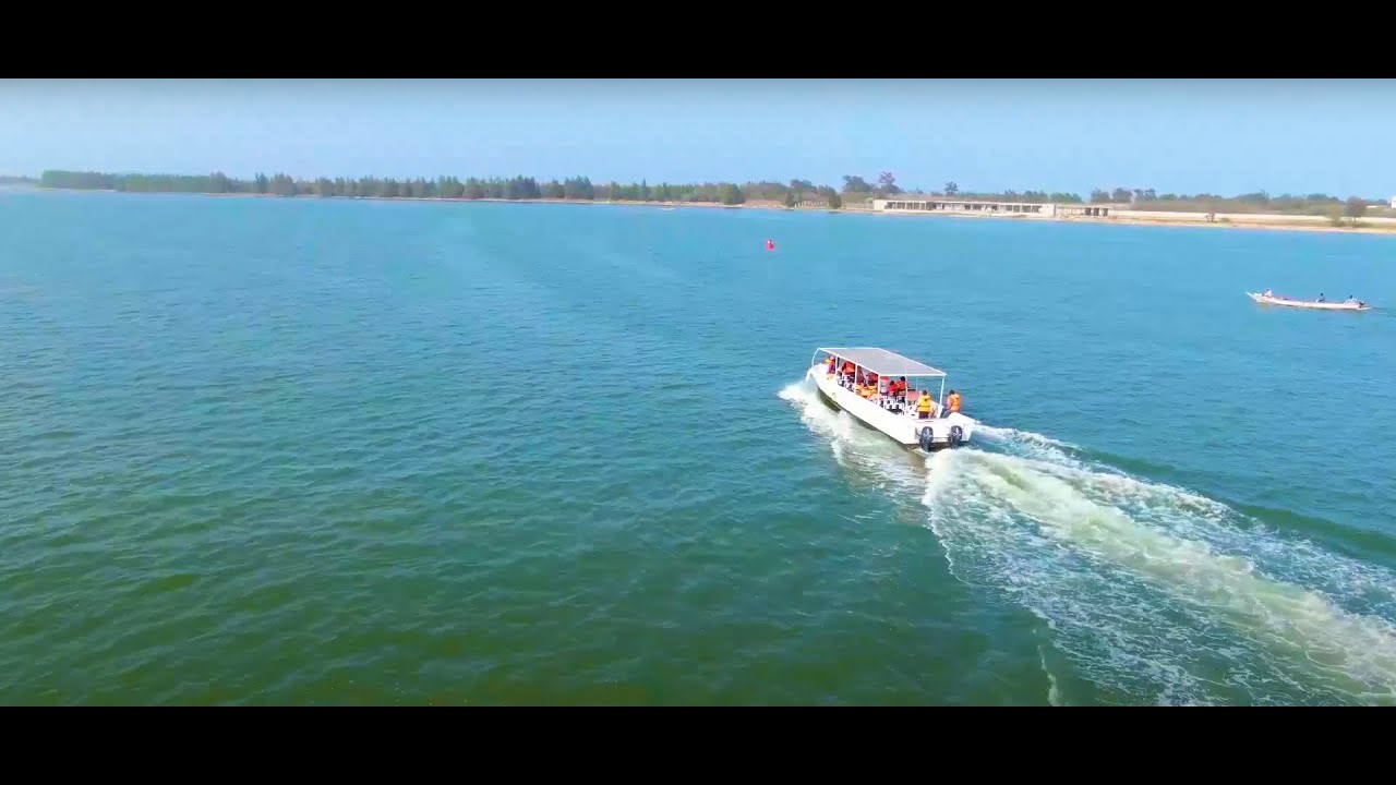 Visite de l'Aire Marine Protégée de Saint Louis
