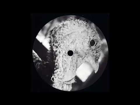 Dorisburg - Venom [MOUNTAIN003]