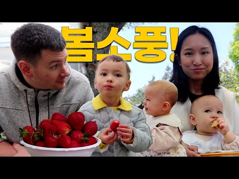 🌸한국에서의 봄🌸과 우리가족 | 봄소풍 간 미군가족 | 딸기농장, 평택 소풍