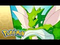 Gettin The Bugs Out POKÉMON FULL EPISODE 28 Season 3