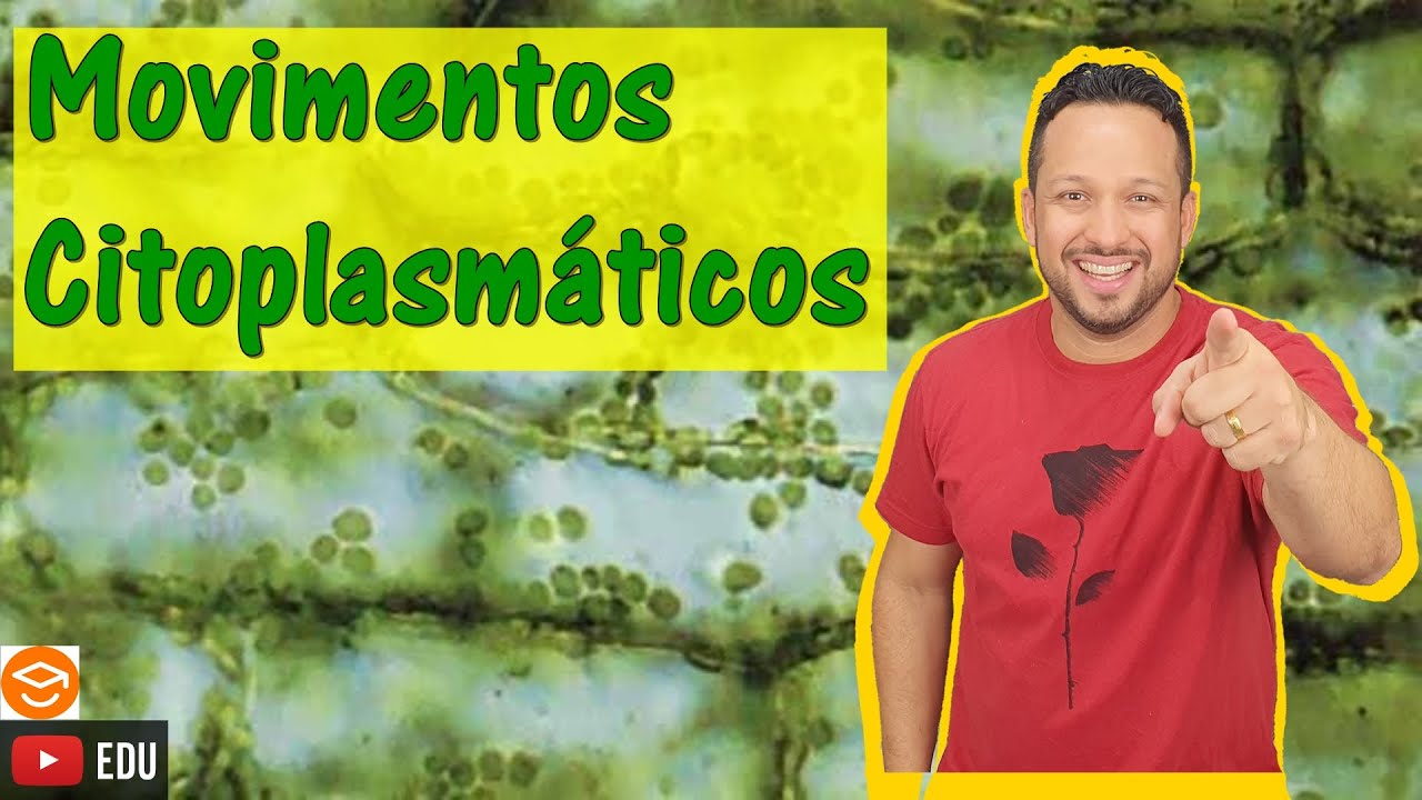 Movimentos Citoplasmáticos - Movimento Ameboide e Ciclose - Citoesqueleto - Citoplasma - Citologia