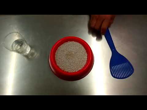 Dogkat Arena Klinkat 100 % Natural