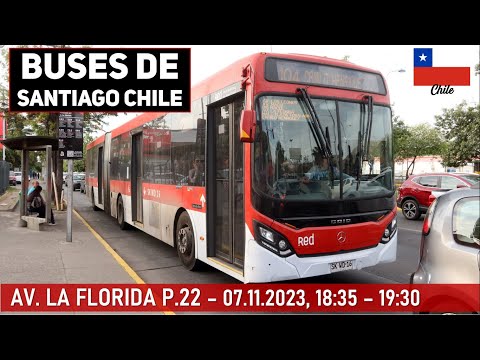 Buses Santiago de Chile: Avenida La Florida Paradero 22 - Martes 07.11.2023 (Hora Punta Tarde)