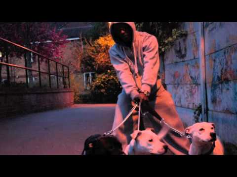 Jendor (OGz) - Tai Chi (2011)