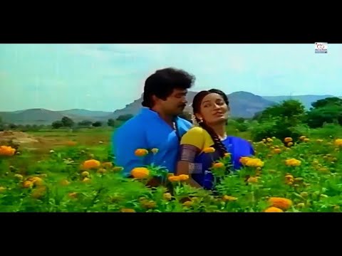 பூத்து பூத்து குலுங்குதடி பூவு ( Poothu Poothu Kulunguthadi ) Video Song | S. P. B , Uma Ramanan