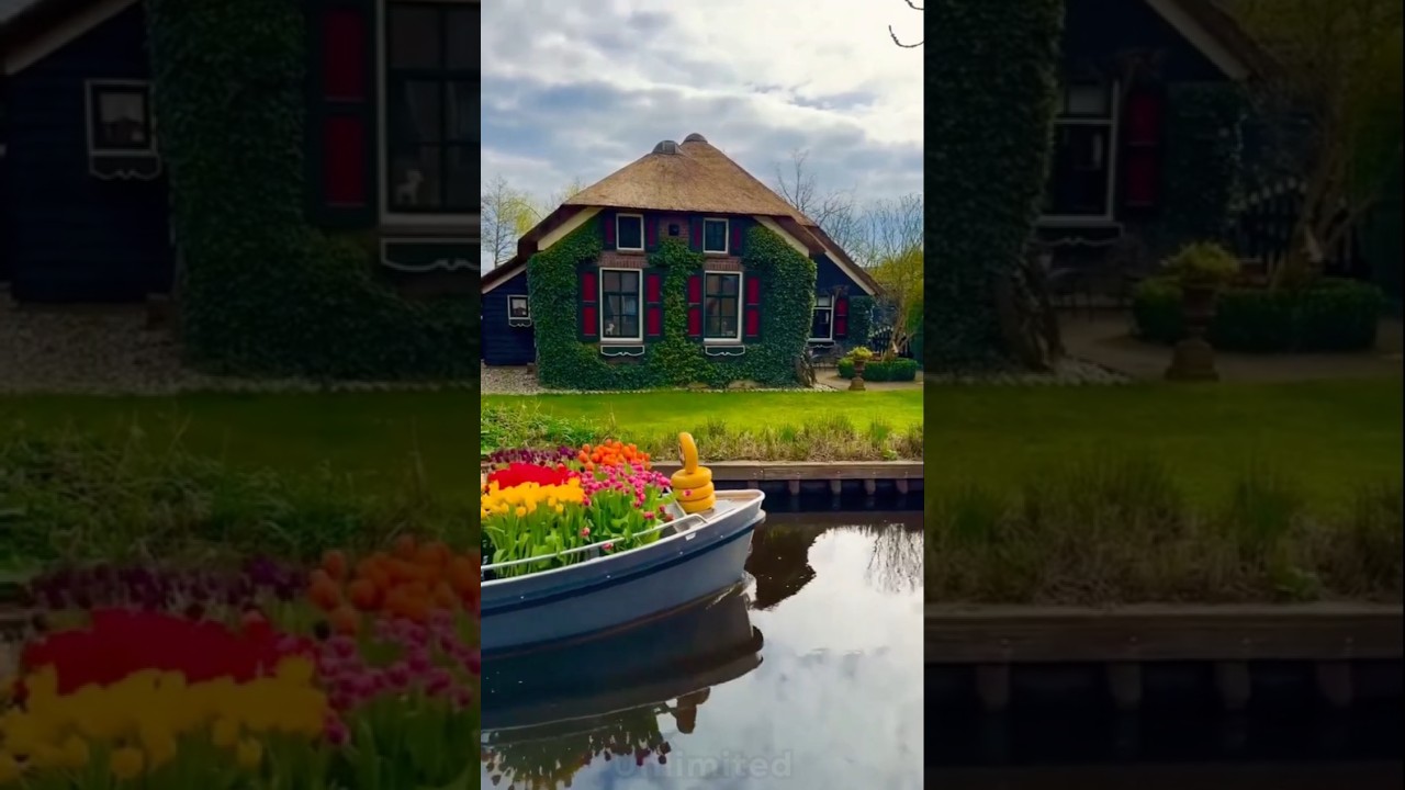 YouTube Short thumbnail