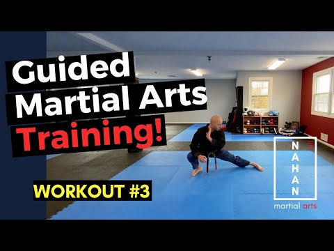 Online Martial Arts Workout and Training - Lesson 3