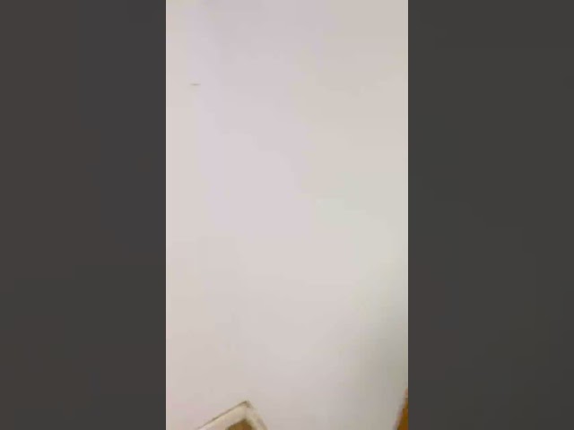 Vídeo relacionado con PADOLA Hombre Sudaderas con Capucha Impresión 3D Hoodie con Bolsillo Motivo navideño de Halloween Manga Larga Streetwear Causal (S, 0 Negro Blanco)