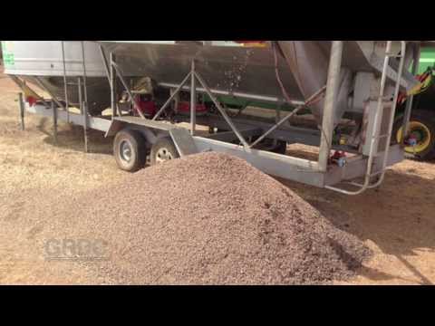 GCTV13: Small Conical Snails