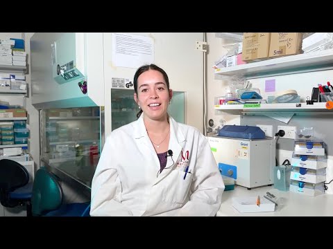 The immune system’s misinformation problem