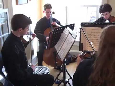 Crescendo String Quartet