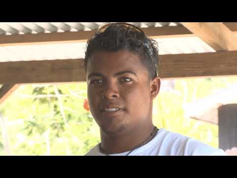 Atribuição de Módulo - Island Hop Tour