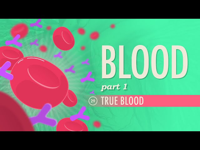 Video Pronunciation of blood in English