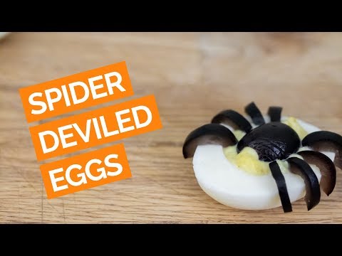 download lagu mp3 mp4 Spider Food Ideas, download lagu Spider Food Ideas gratis, unduh video klip Spider Food Ideas