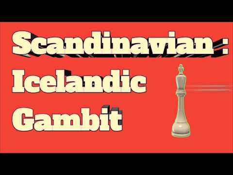 Scandinavian : Icelandic Gambit