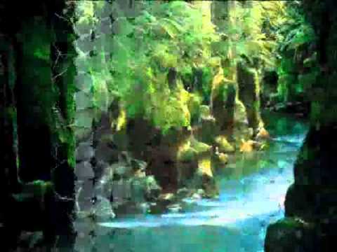 lay phyu..............A myae dann