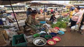 preview picture of video 'Laos Market - wilds food and local food Savannakhet  , Laos 2018'