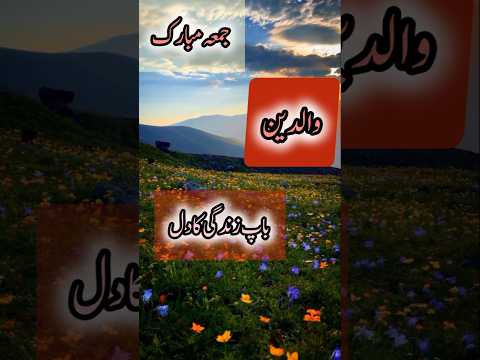 Bap zindgi ka dil// beatiful# best# viral # shorts # vedio # zakia # shahzadi # official