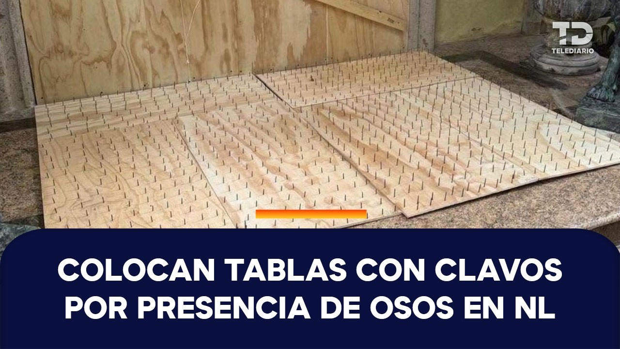 Reparten tablas con clavos en Olinalá en San Pedro para ahuyentar osos