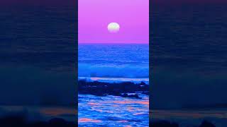 Adele’s "Hello" as a Bossa Nova! ✨ Enjoy our smooth rendition 🌴 #Adele #Hello #BossaNova