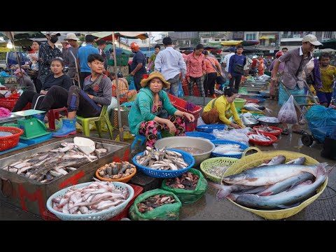 Chbar Ampov Fish Market - Morning Daily Lifestyle of Vendors Selling Alive Fish, Dry Fish & Seafood