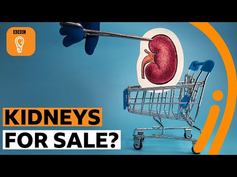 Should human kidneys be bought and sold? | BBC Ideas
