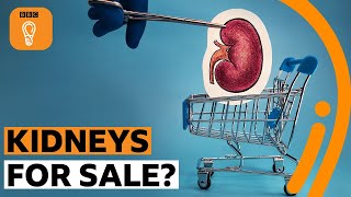 Should human kidneys be bought and sold? | BBC Ideas