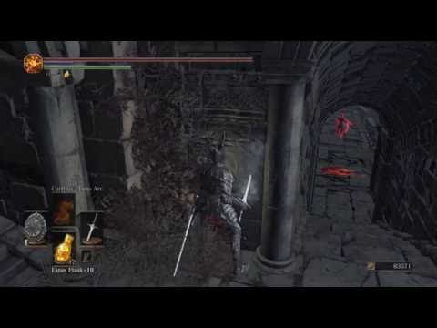 Invader etiquette | Dark Souls 3