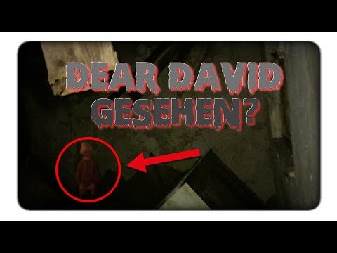 DEAR DAVID im GEISTERWALD GETROFFEN?! Unglaublich!