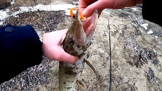 Ростов на дону все для вас рыбалка