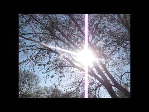 Legend of Zelda Breath of The Wild Plush Series Trailer