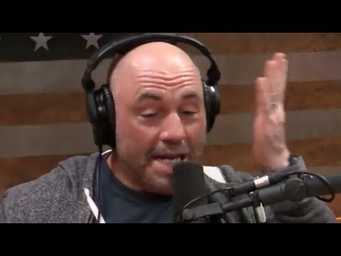 Joe Rogan on the Carnivore Diet "There's No Science Behind It"