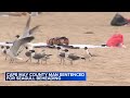 New Jersey Man Sentenced For Beheading Seagull After It Tried To Steal Food From His Daughter
